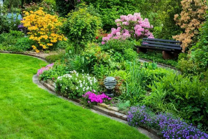 Water Garden : A Basic | Home Improvement Tips