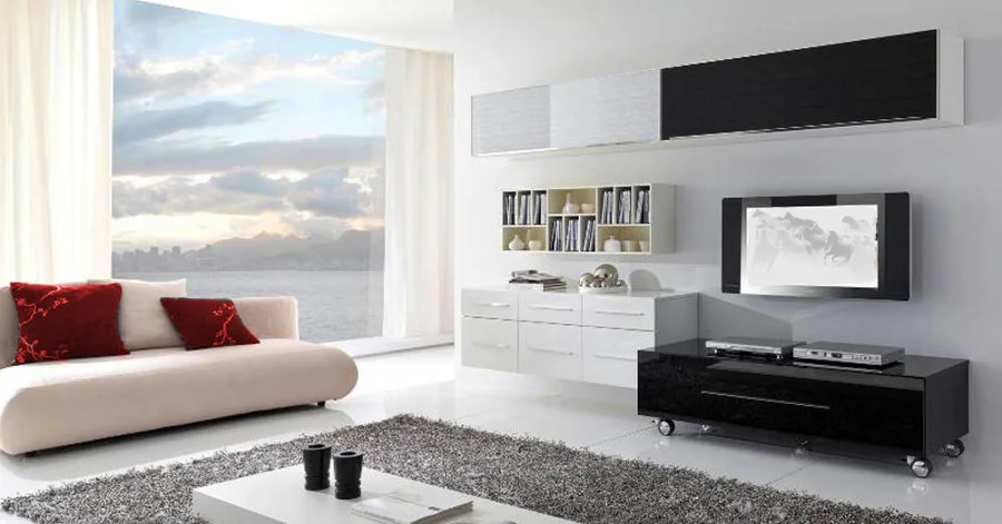 White Colors Living Room