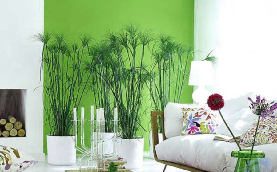 Room Decor with Greenery