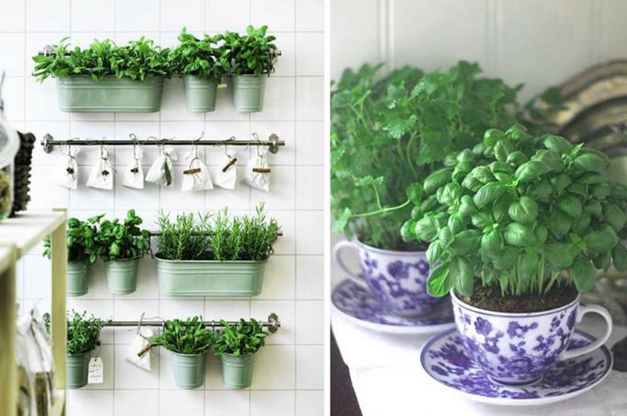 14 Rooms with a Very Clever Use of Decorative Plants