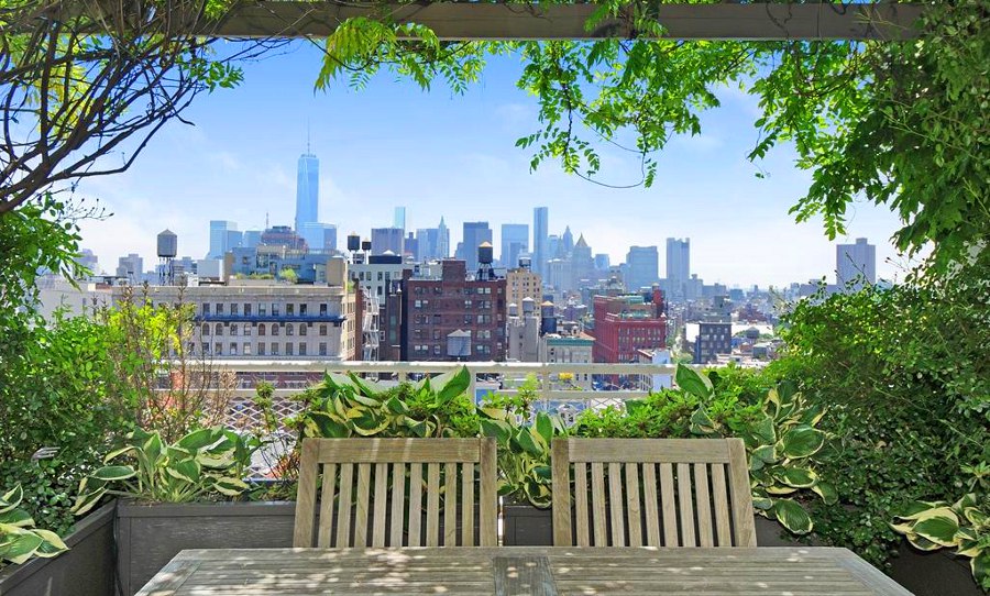 Terrace Garden over City View