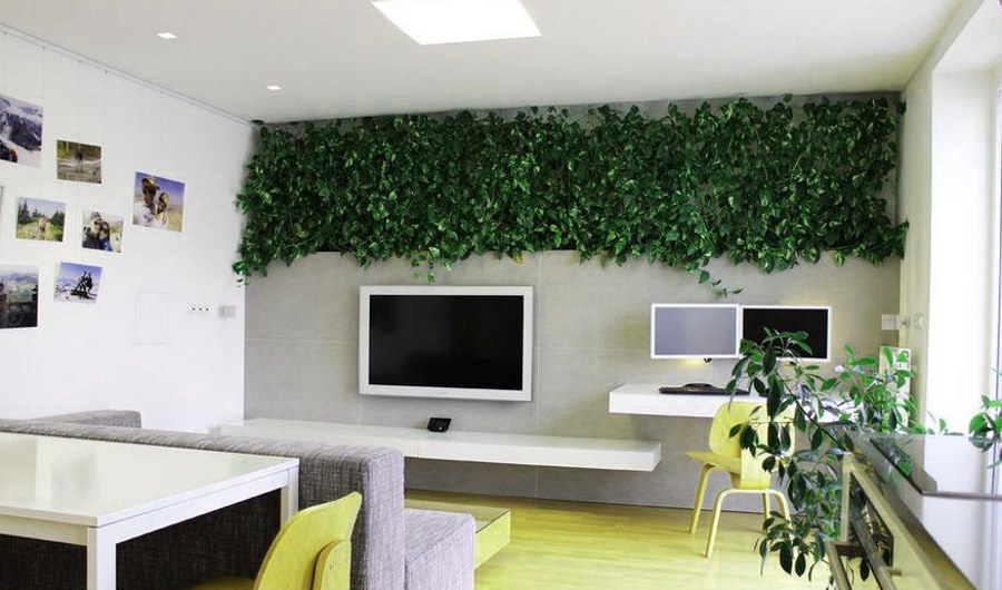 Wall Decor with Plants