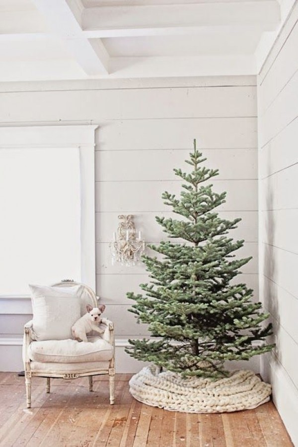 25+ Amazing Christmas Trees - One For Everyone's Style! -