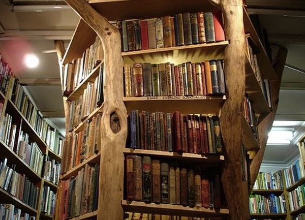 Tree Trunk Bookshelf