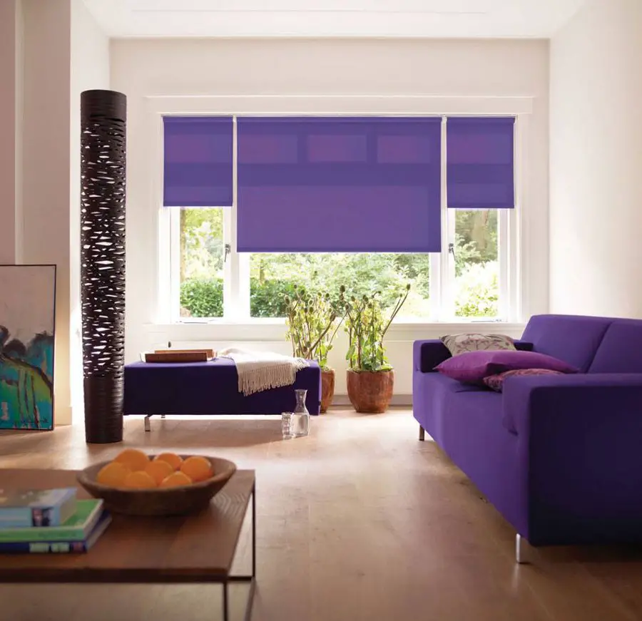 Purple blinds
