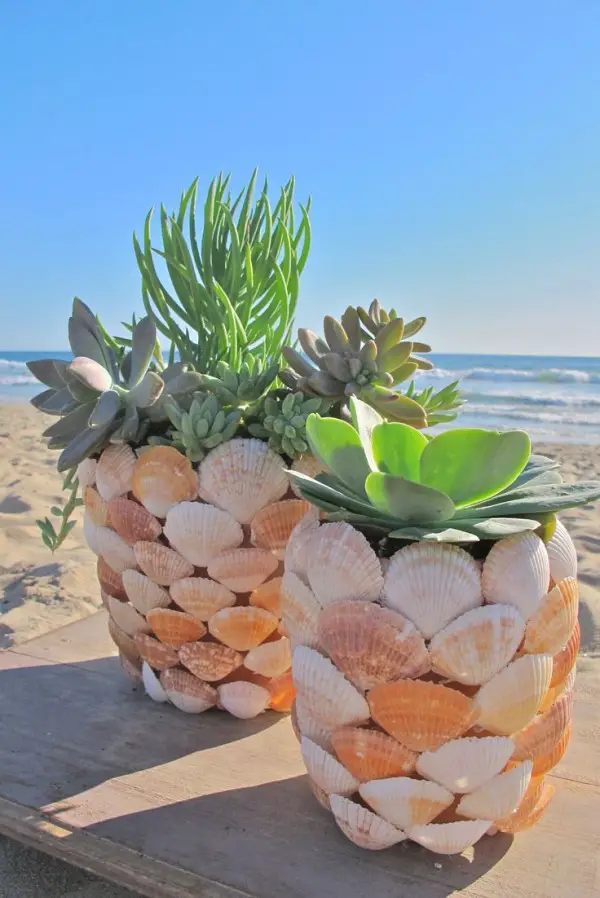 Seashell Planter DIY