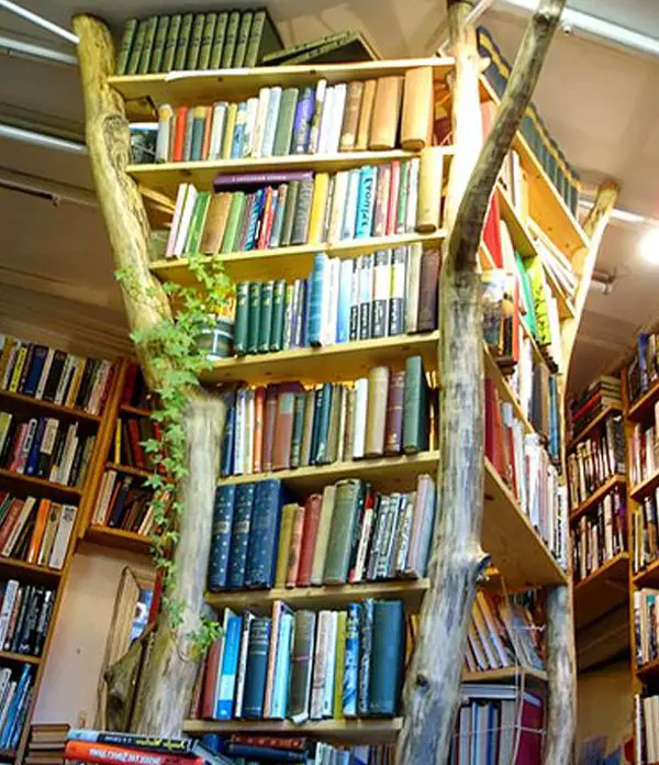 Tree Trunk Bookshelf