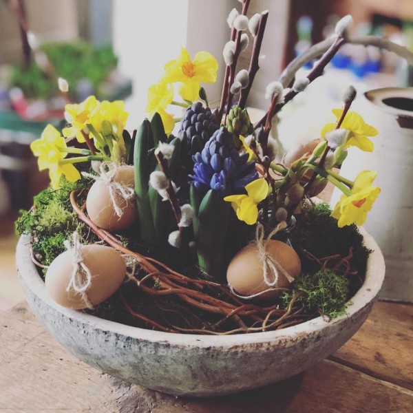 You have to see this  centerpiece idea with eggs and spring bulbs. Love it! 