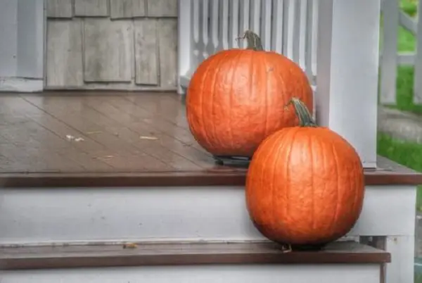 Halloween pumpkins decor