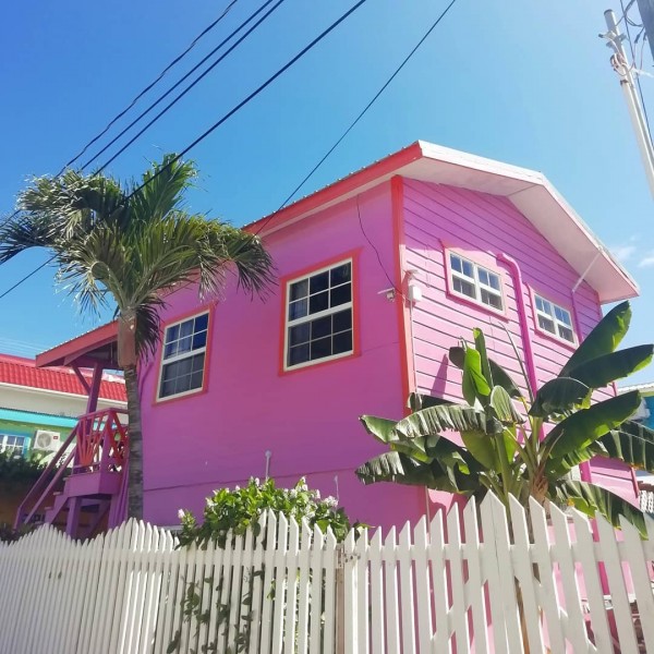 Beautiful Fuchsia House 