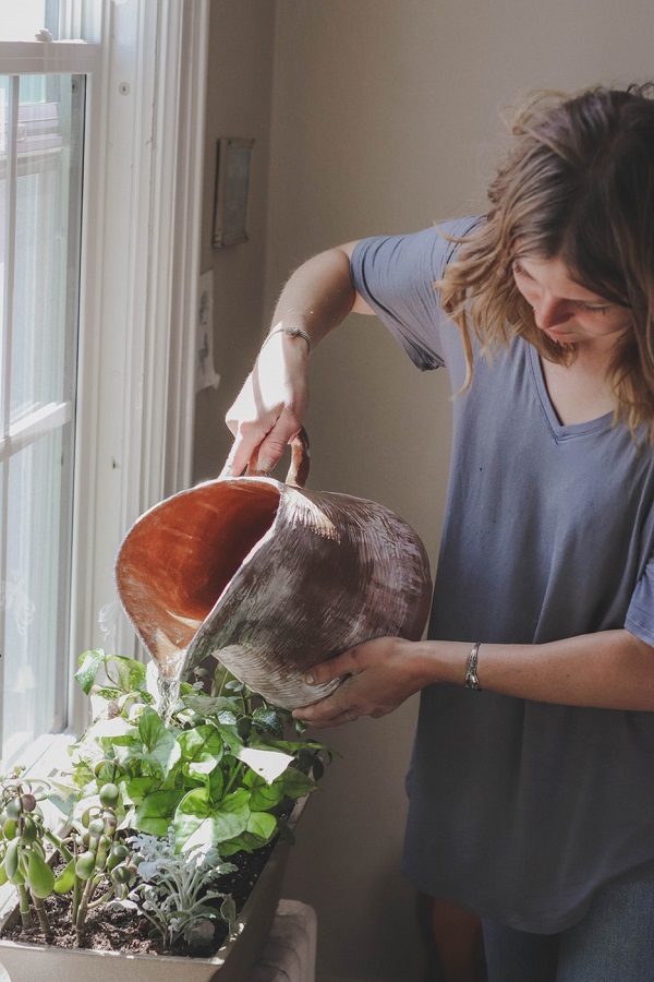 What Having an Indoor Herb Garden Does for You?