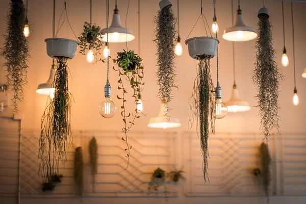 Hanging Cable Lamps 