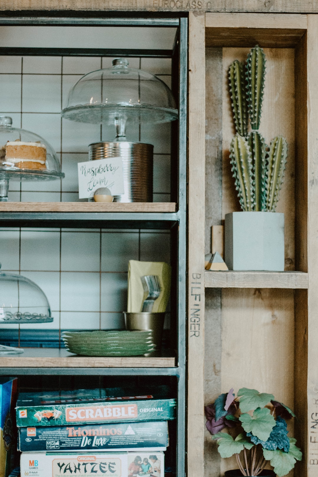 plant shelf