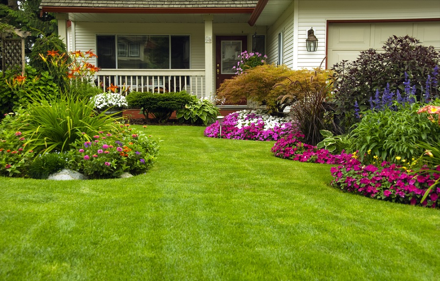 flower beds