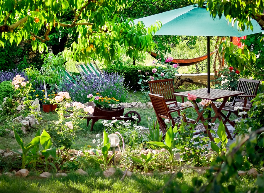 Small lush backyard garden