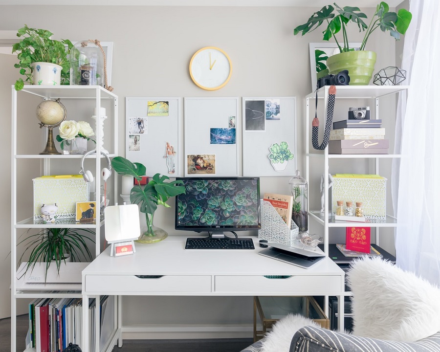 home office plants