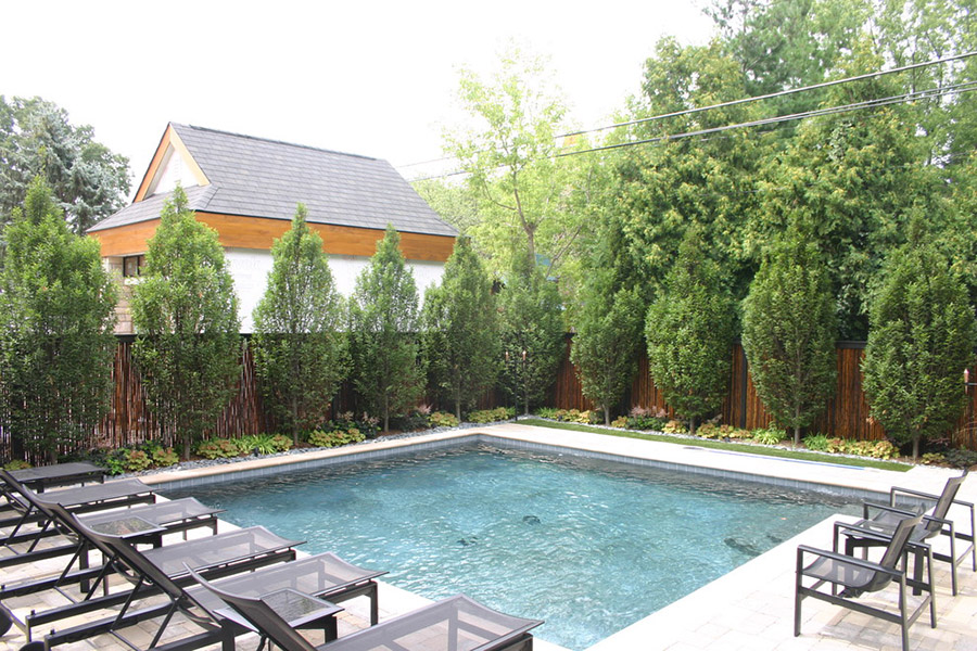 Pool privacy screen