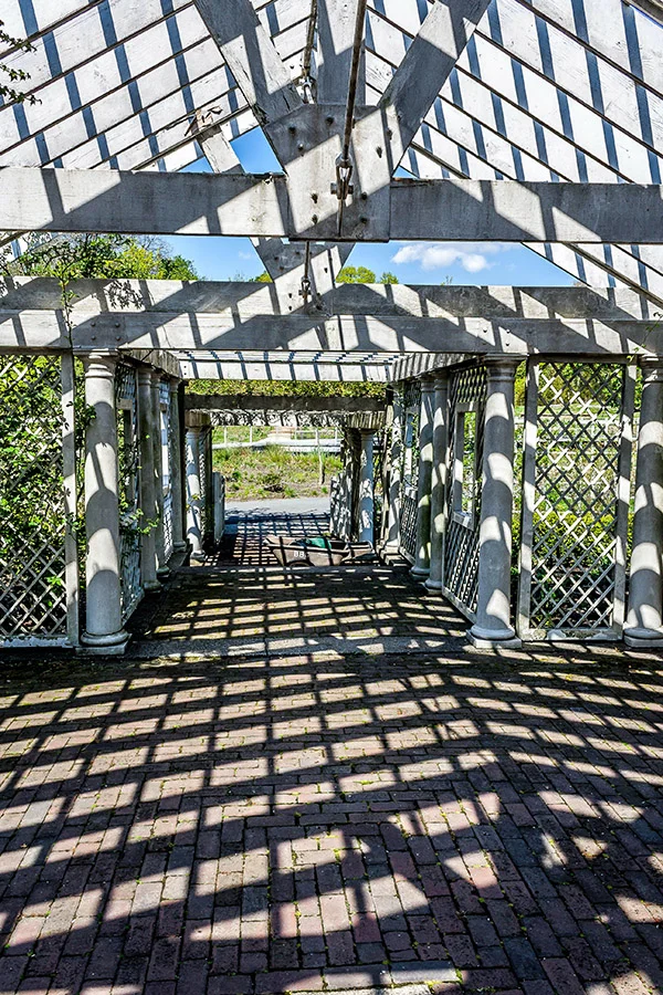 Privacy screen trellis