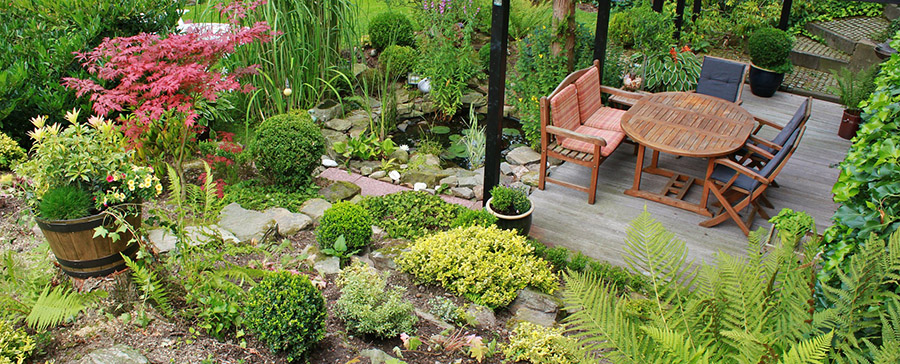 Patio landscaping