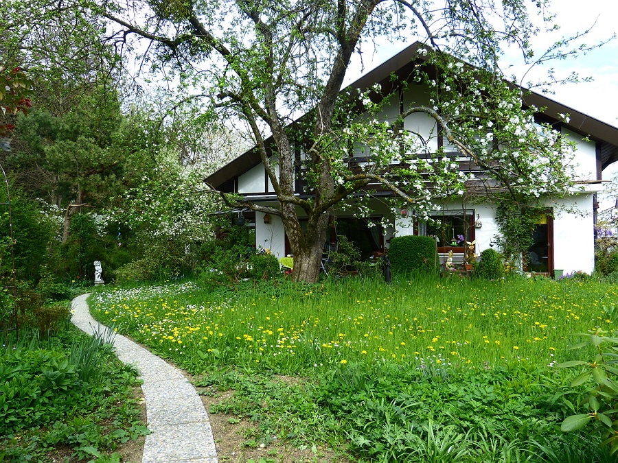 home garden tree