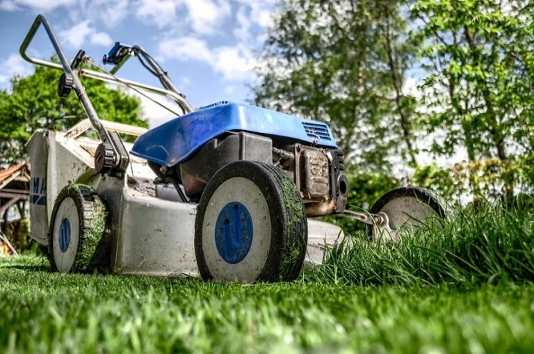 Caring for Your Lawn in Drought Conditions in 4 Steps