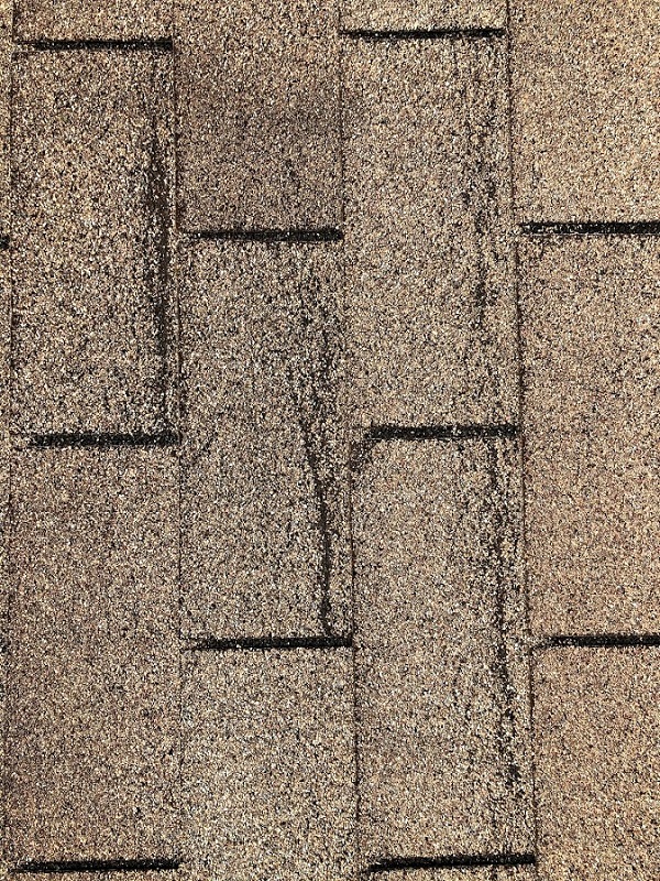 shingle creases