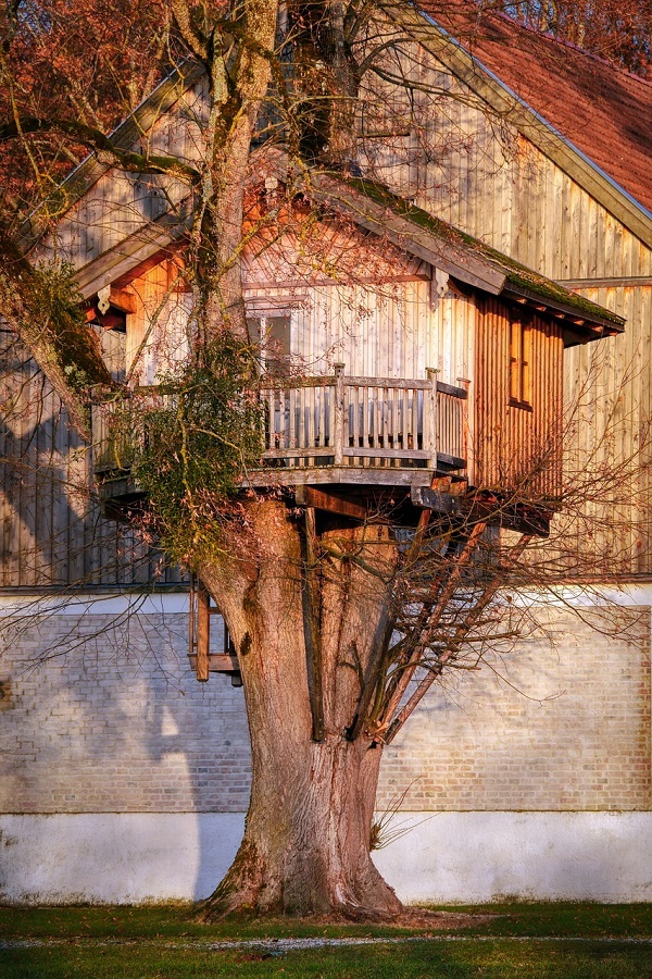 treehouse