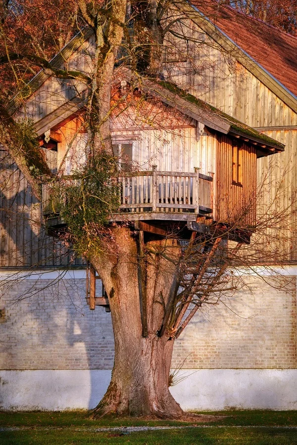 treehouse