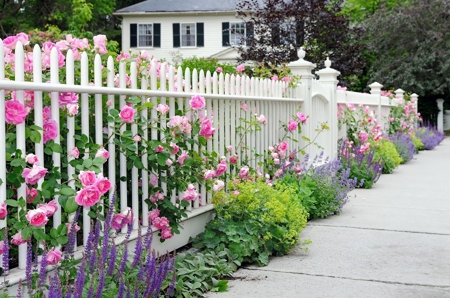 garden flowers