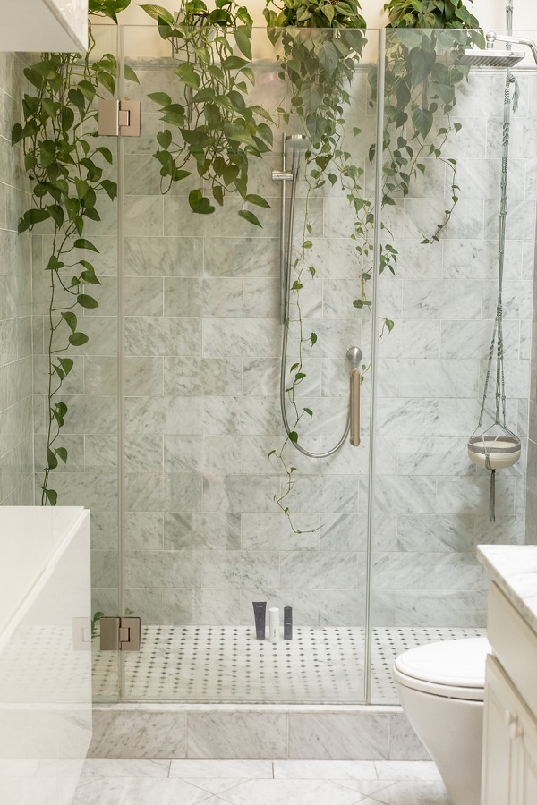 clear shower enclosure