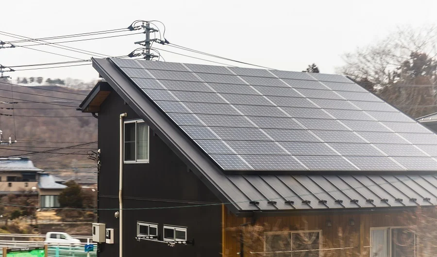 solar roof panel skins