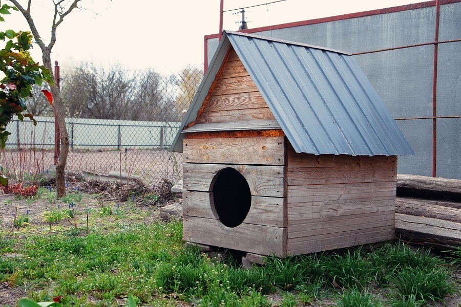 dog kennel