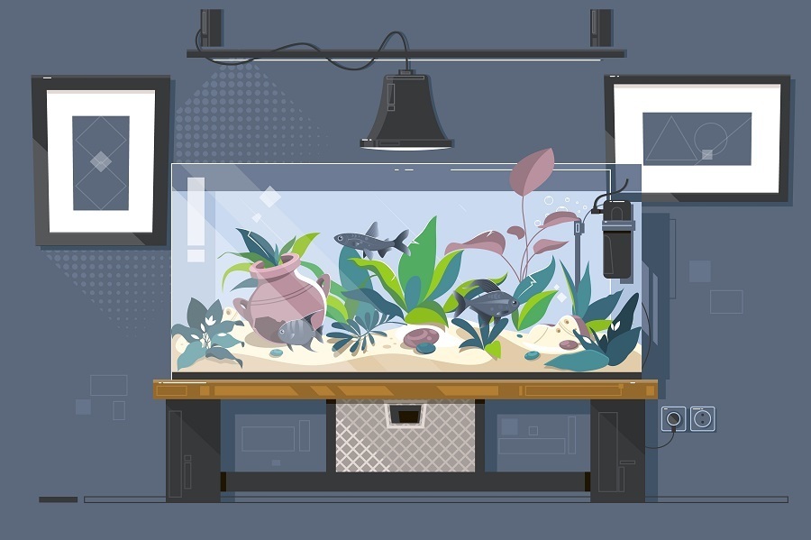 fish tank