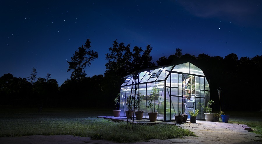 night greenhouse