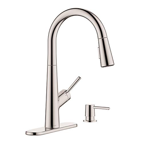 Hansgrohe 1-handle 17-inch Tall Stainless Steel