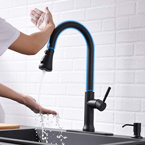 Fapully Black Kitchen Faucet With Sprayer,touch