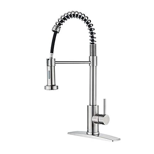 Forious Kitchen Faucet With Pull Down Sprayer,