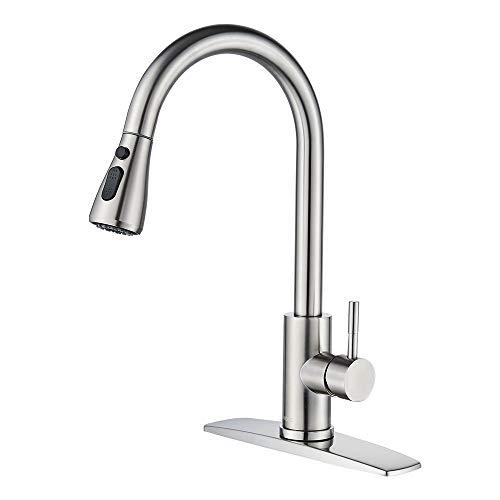 Forious Kitchen Faucet With Pull Down Sprayer