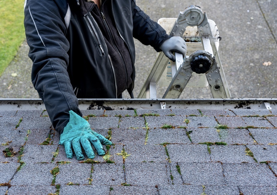 inspect roof shingles