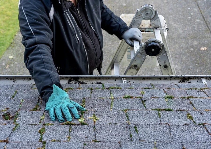 inspect roof shingles