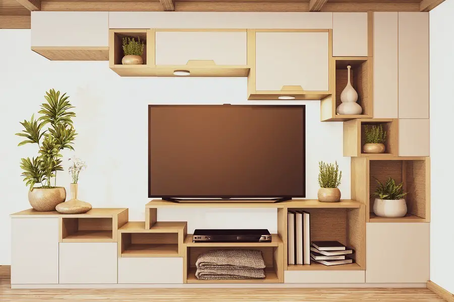tv and cabinet shelves
