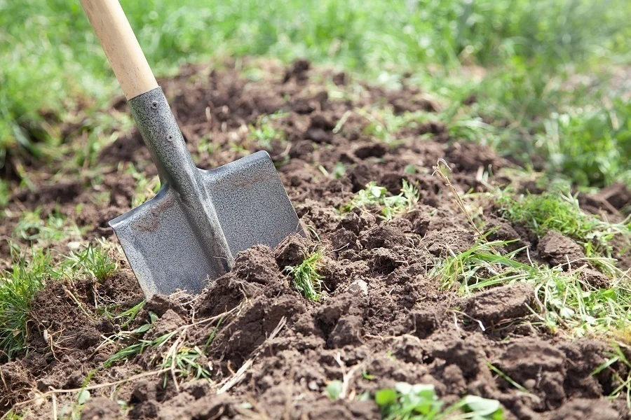 digging garden soil