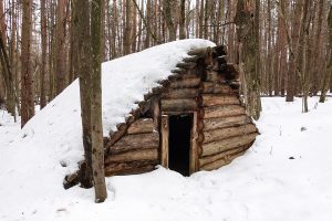 3 Simple Survival Shelter Designs and How to Build Them