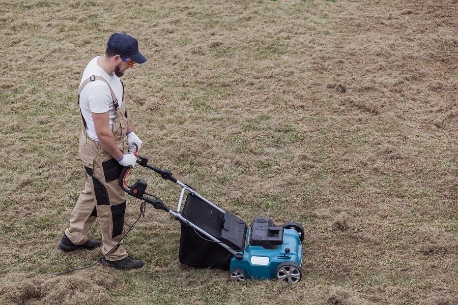 lawn aeration