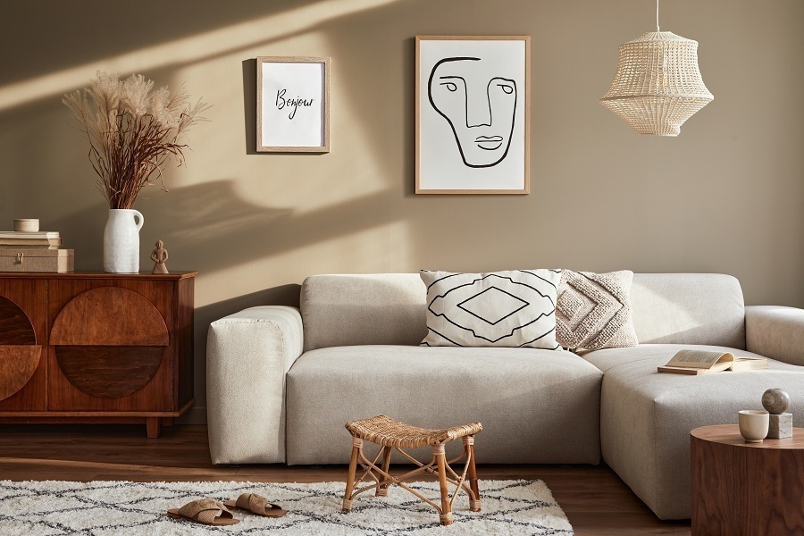 6 Decorative and Useful Items You Should Place in Your Living Room