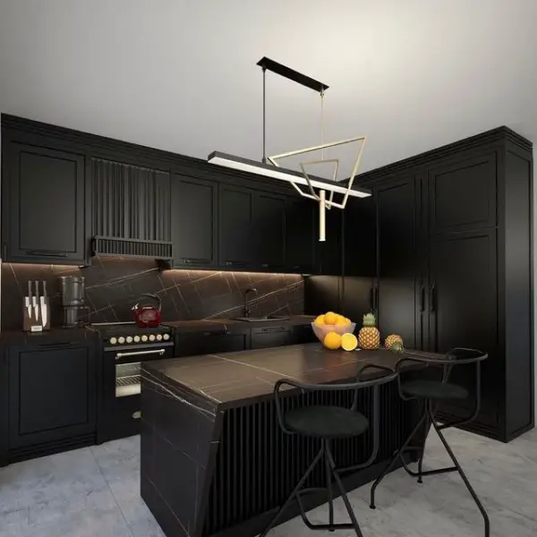 Black and White Kitchen black kitchen cabinets