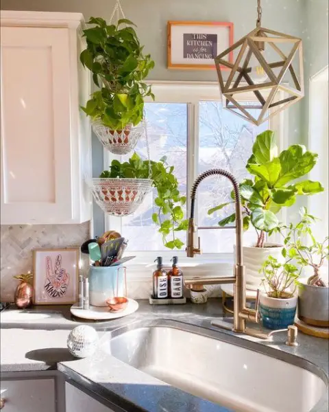 New Growth Kitchen Idea kitchen decor with plants