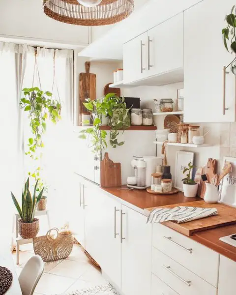 Boho Jungle Home kitchen decor with plants
