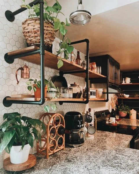 Haily | Home▫️Plants ▫️Travel kitchen decor with plants
