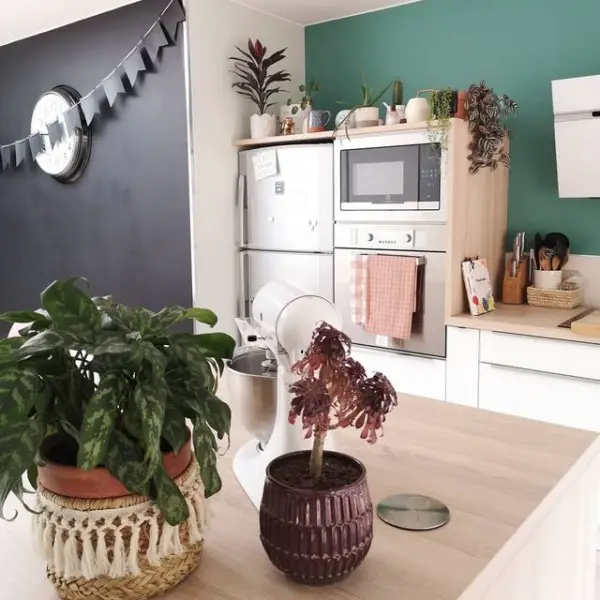 Plant-Filled Kitchen kitchen decor with plants